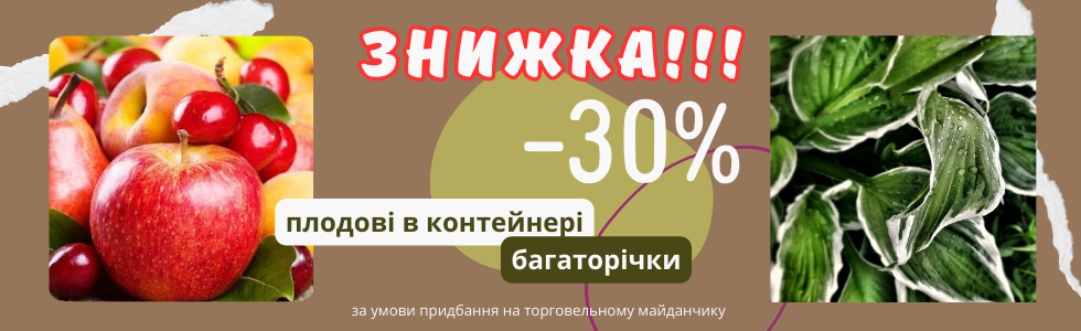 знижка -30%