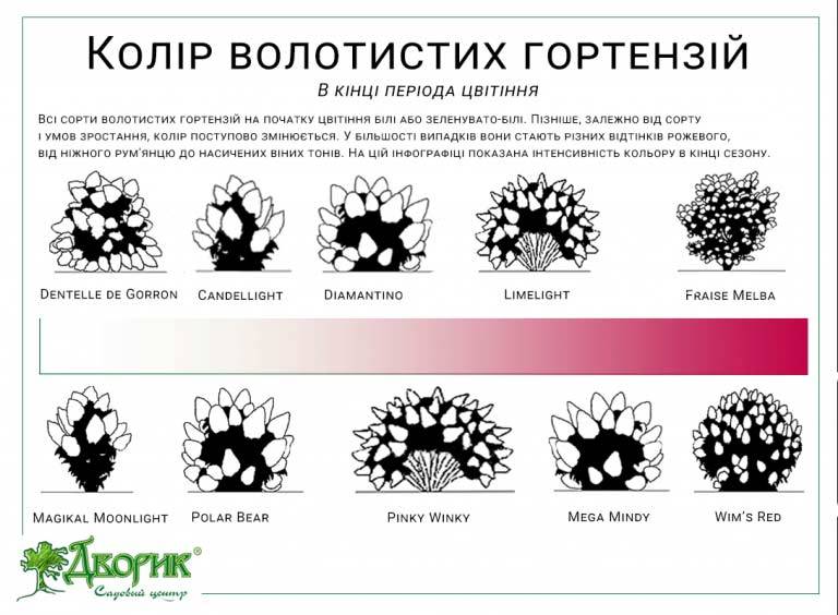 Також в нашому асортименті є чимало варіантів кольорових рішень